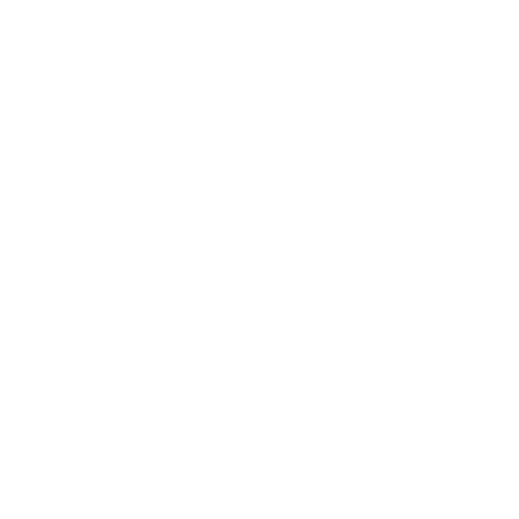 Fluc Consulting